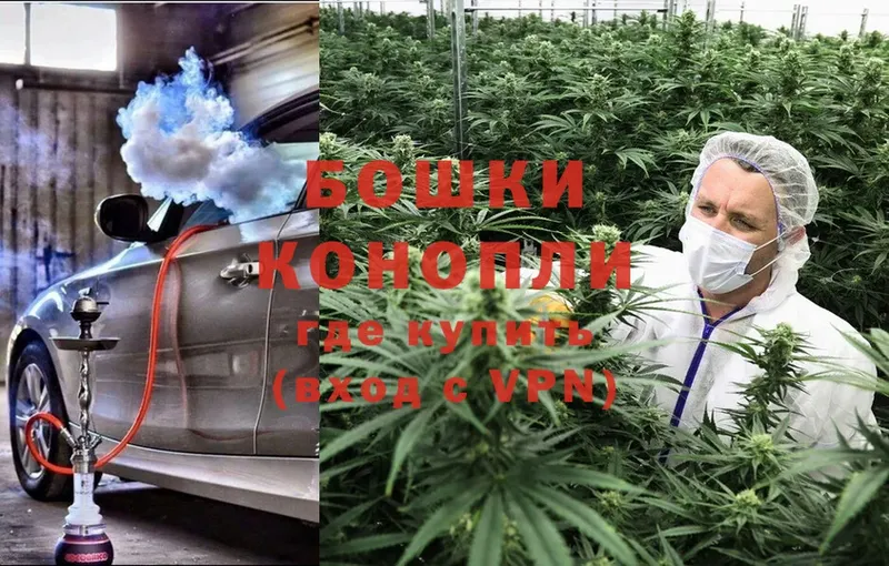 Марихуана THC 21%  Нарьян-Мар 